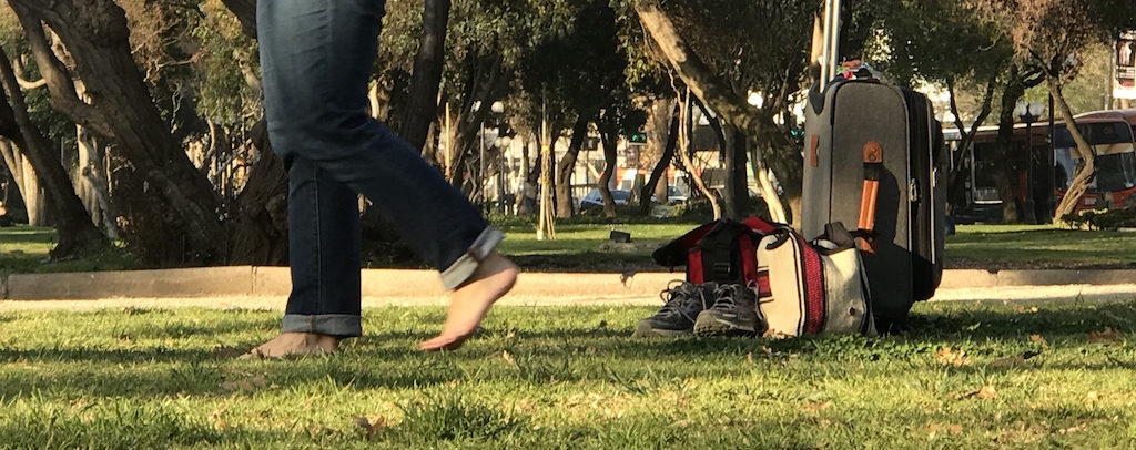 Attempting to cure jet lag by walking in grass (a.k.a. grounding or earthing) in Santiago, Chile